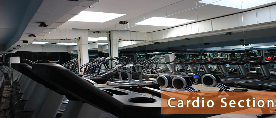 Cardio Zamanı