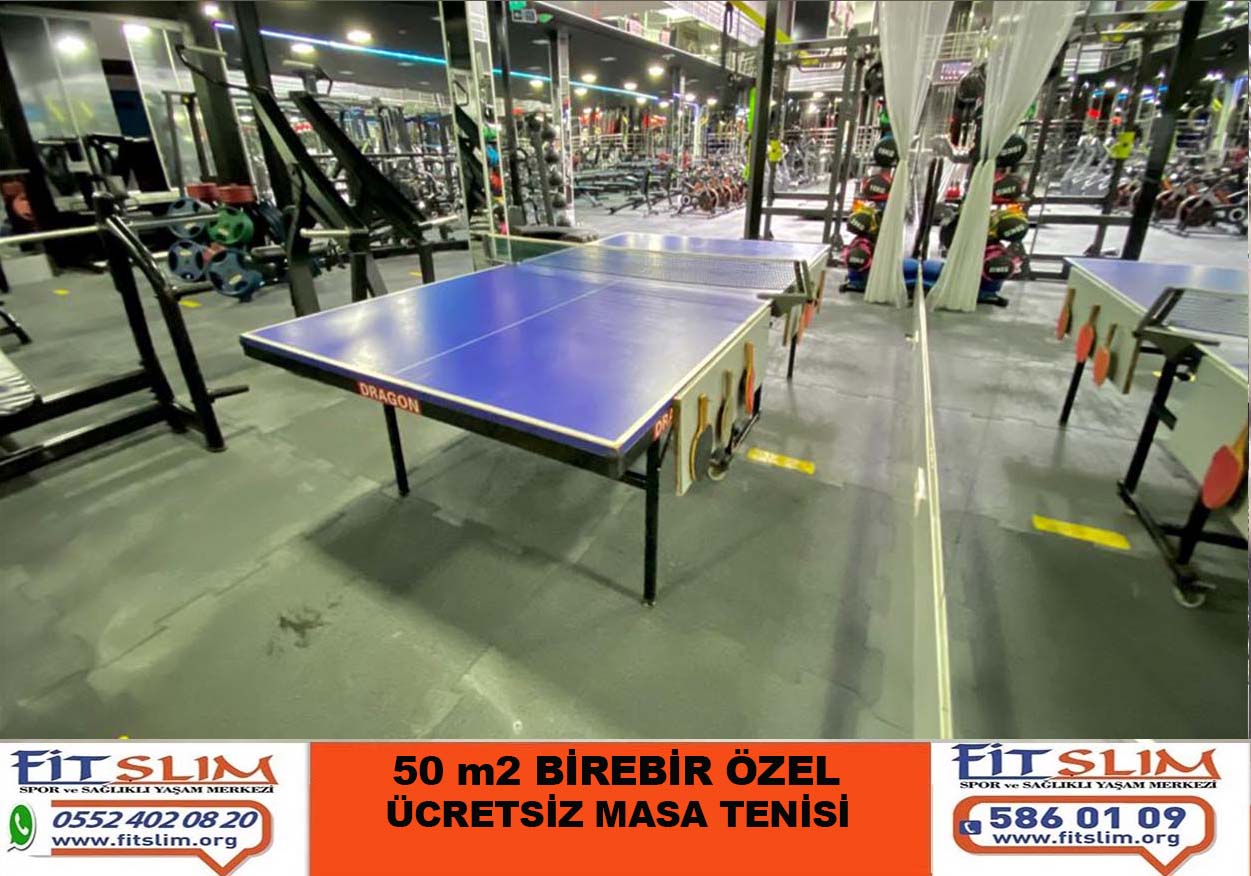 MASA TENİSİ