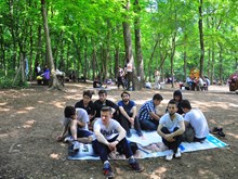 BELGRAD 2014