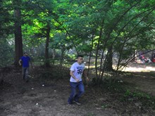 BELGRAD 2014