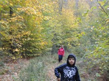 test galeri