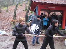 BELGRAD (2008)
