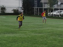 HALI SAHA (16.12.2012)