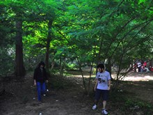 BELGRAD 2014