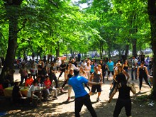 BELGRAD 2014