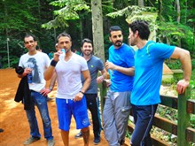 BELGRAD 2014