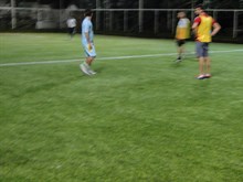 HALI SAHA FUTBOL (2012)