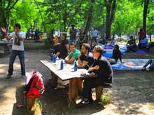 BELGRAD 2014