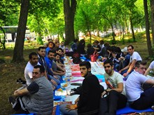 BELGRAD 2014