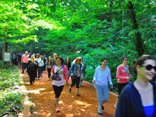 BELGRAD 2014