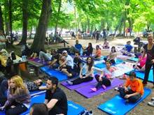 BELGRAD 2014