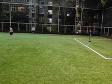 HALI SAHA FUTBOL (2012)